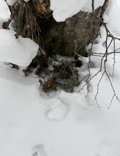 IMG 6540.jpg