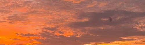 banner.jpg