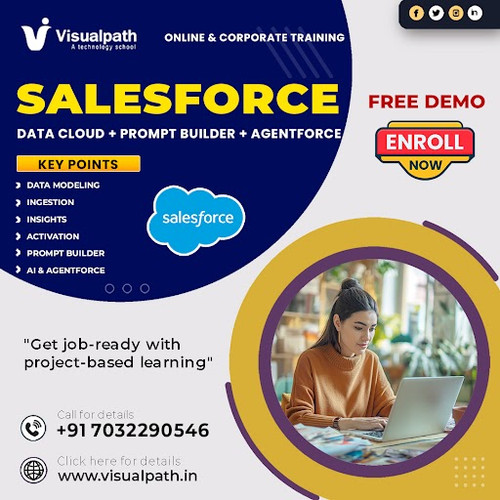 Master Salesforce Data Cloud Training Online | Visualpath.jpg
