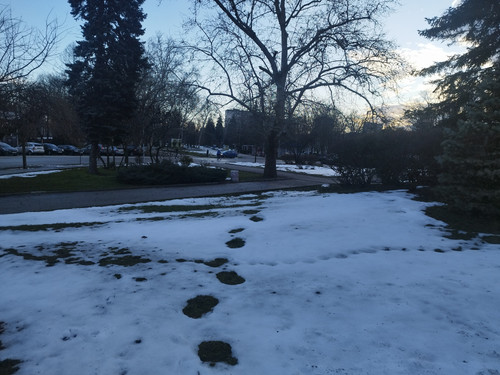 IMG 20260225 074040.jpg