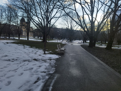 IMG 20260225 074740.jpg