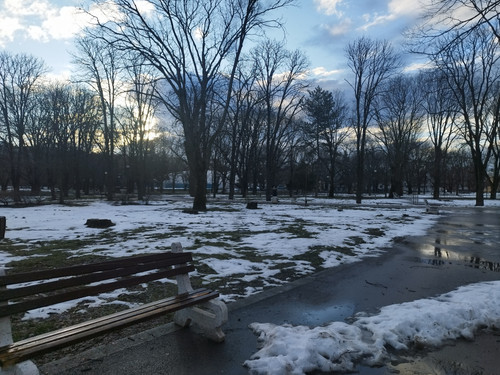 IMG 20260225 074851.jpg