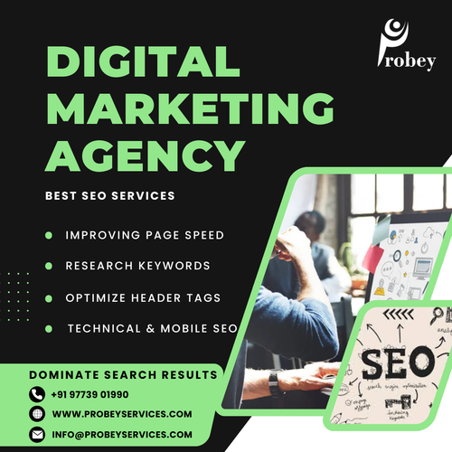 SEO Company in Mumbai.png