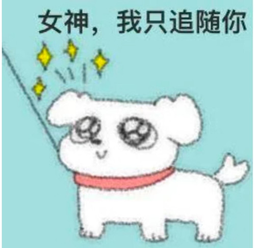 IMG 20260218 234634.jpg