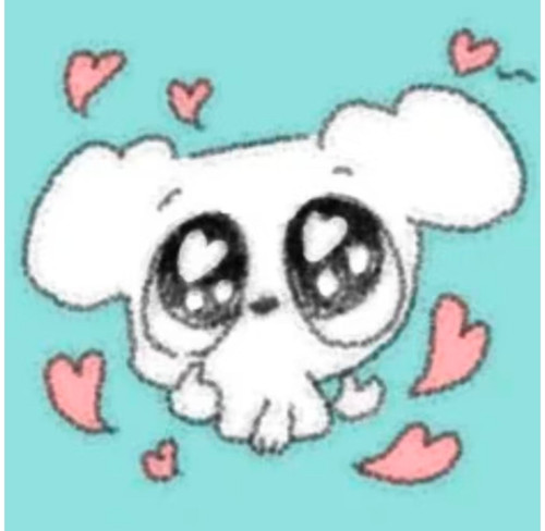 IMG 20260218 234701.jpg