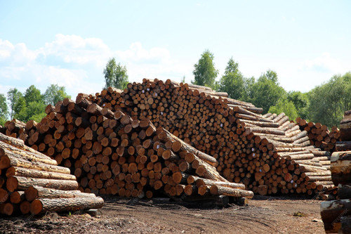 Far East Timber Supplier Dubai Providing Premium Quality Wood for Every Project.jpg