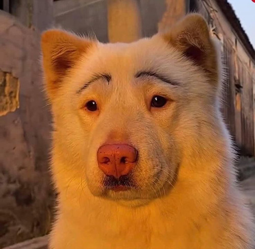 ดาวน์โหลด (5).jpg