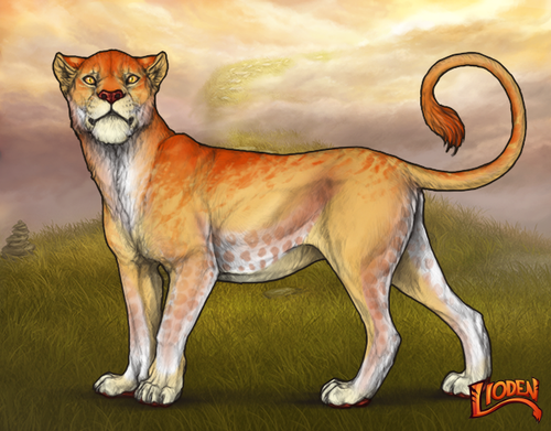 lioden wardrobe 2026 02 24T102503.069.png