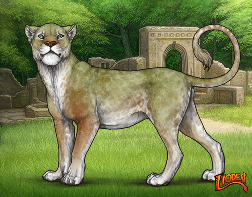 lioden wardrobe 2026 02 24T100604.202.png