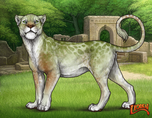 lioden wardrobe 2026 02 24T100623.126.png