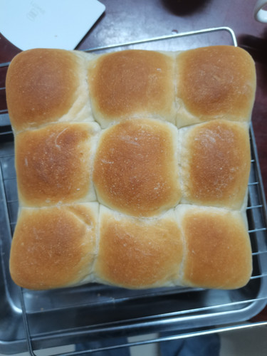 IMG 20260225 002036.jpg