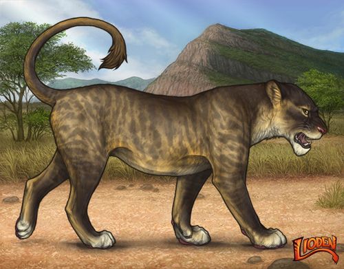 lioden wardrobe 2026 02 24T100752.643.png