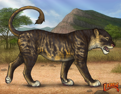 lioden wardrobe 2026 02 24T100813.121.png