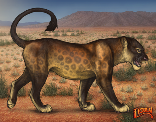 lioden wardrobe 2026 02 24T101451.102.png