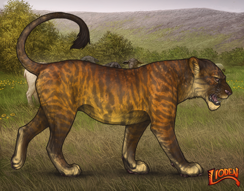 lioden wardrobe 2026 02 24T101851.124.png