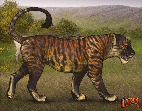 lioden wardrobe 2026 02 24T101912.259.png