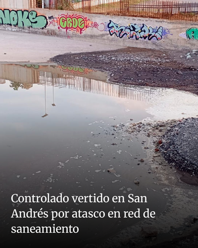fd393844219f.png