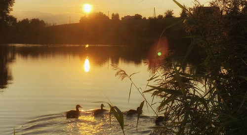 lake.png