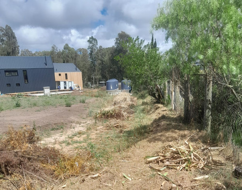 CANTEIRO Limpeza geral.jpg