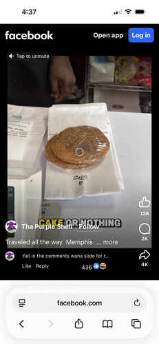 IMG 4131.png