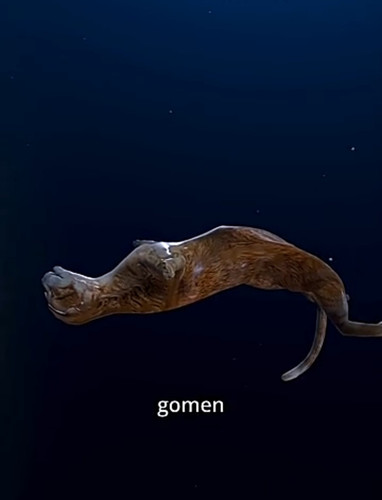 file.jpg