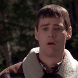IMG 0858.gif