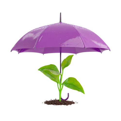 e5f4e90e2437.png
