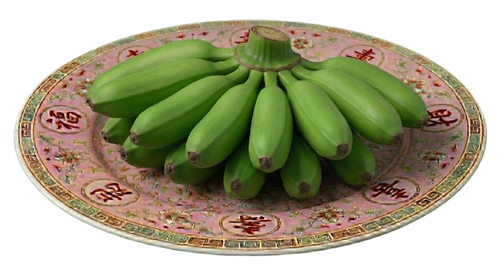 Gemini Generated Image tuesf8tuesf8tues removebg preview.png