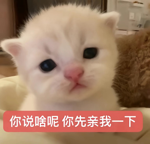 Screenshot 2026 02 24 01 53 22 62 2332cb9b27b851b548ba47a91682926c.jpg