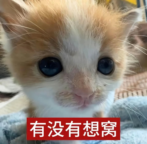 Screenshot 2026 02 24 01 50 07 44 2332cb9b27b851b548ba47a91682926c.jpg