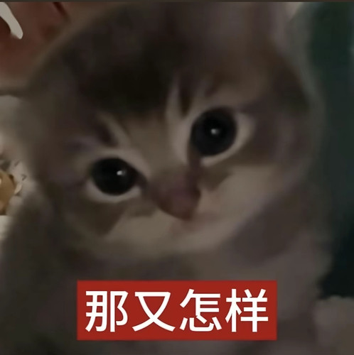 Screenshot 2026 02 24 01 49 00 75 2332cb9b27b851b548ba47a91682926c.jpg