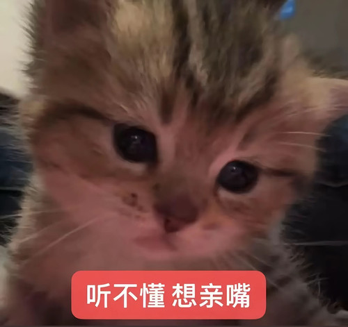 Screenshot 2026 02 24 01 51 11 05 2332cb9b27b851b548ba47a91682926c.jpg