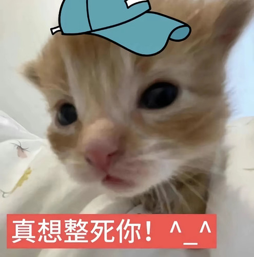 Screenshot 2026 02 24 01 51 53 68 2332cb9b27b851b548ba47a91682926c.jpg