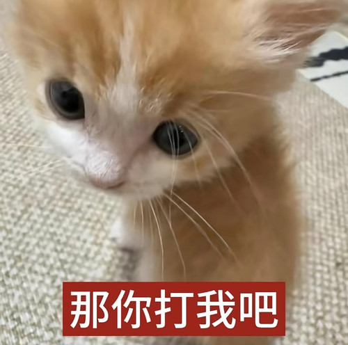 Screenshot 2026 02 24 01 48 46 30 2332cb9b27b851b548ba47a91682926c.jpg