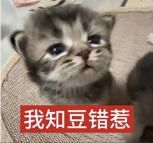 Screenshot 2026 02 24 01 52 48 44 2332cb9b27b851b548ba47a91682926c.jpg