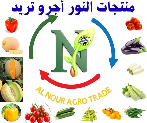 WhatsApp Image 2026 02 23 at 7.42.42 PM.jpg