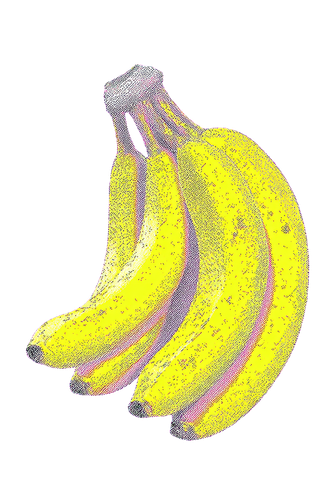 bunch of bananas 1.png