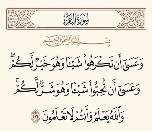 DB3610B5 D8E9 4C7D AD62 7D3EB12C28B9.jpg