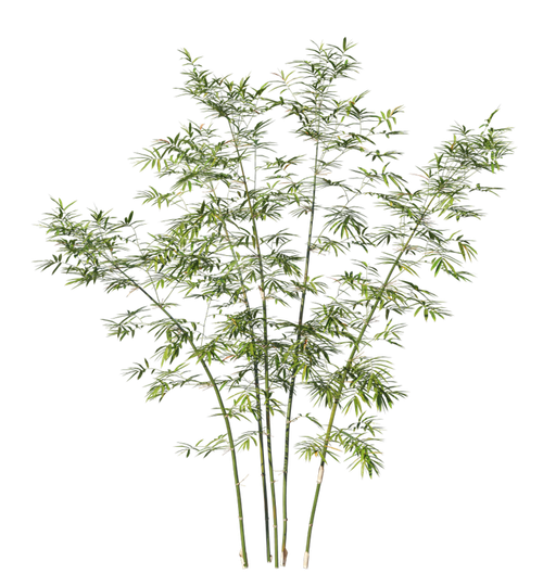 kits tammys welt tang dynasty (71).png