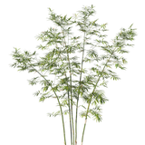 kits tammys welt tang dynasty (71)