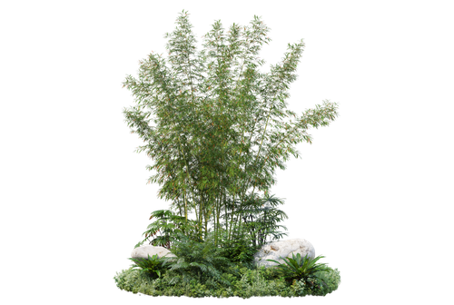 kits tammys welt tang dynasty (74).png