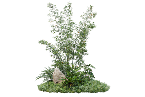 kits tammys welt tang dynasty (72).png