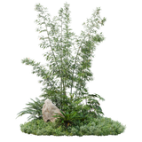 kits tammys welt tang dynasty (72)