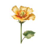 kits tammys welt tang dynasty (76)