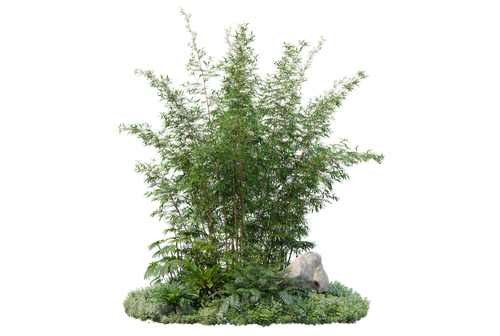 kits tammys welt tang dynasty (73).png