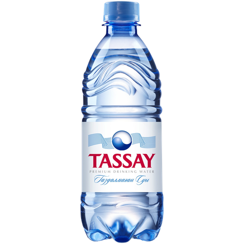 4870071000195 13997 ВОДА TASSAY Б Г 0,5Л П Б.png