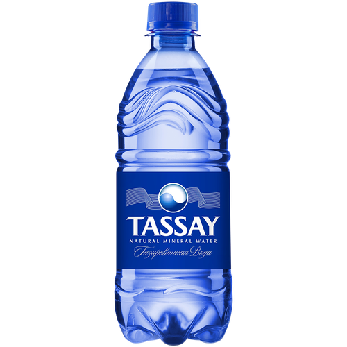 4870071000119 145432 ВОДА TASSAY ГАЗ 0,5Л П Б.png