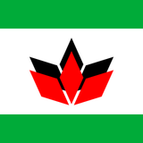 hungarians in romania