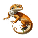 kits tammys welt tang dynasty (17)