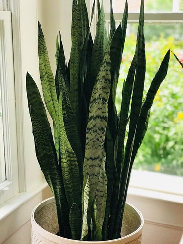 71Y Hrral6L. AC UF1000,1000 QL80.jpg